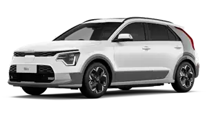 Niro Ev Service